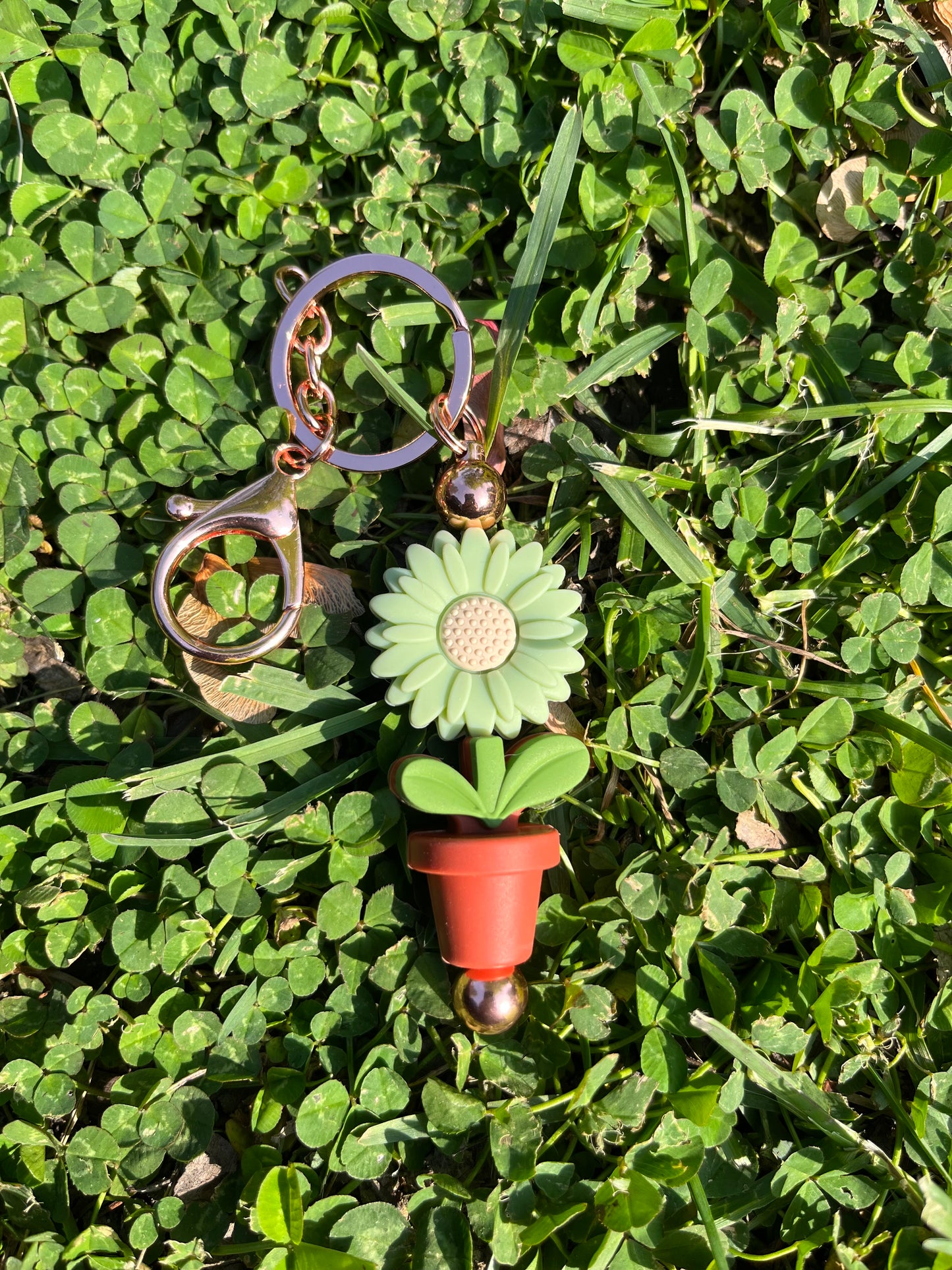 Dusty pot Bloom keychains
